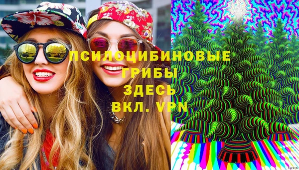 индика Абаза