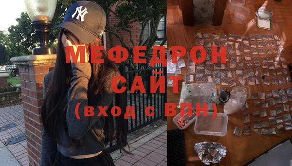 индика Абаза