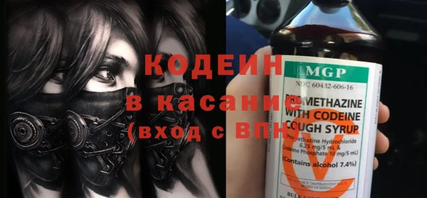 индика Абаза