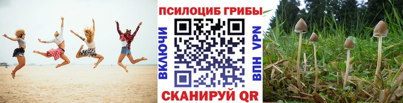 цена   Ирбит  гидра ссылка  Галлюциногенные грибы мицелий 