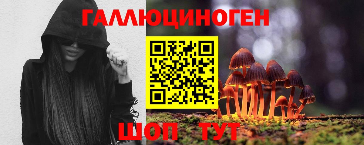 Ирбит  Псилоцибиновые грибы ЛСД  Псилоцибиновые грибы прущие грибы  Вход с VPN 